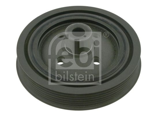 Febi Remenica, radilica