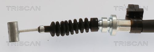 TRISCAN Kočiono crijevo