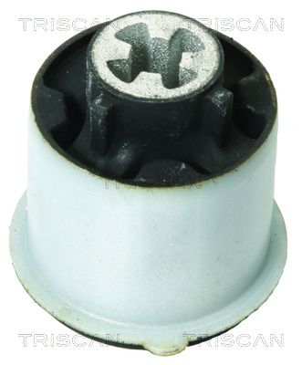 TRISCAN Nosivi/vodeći zglob