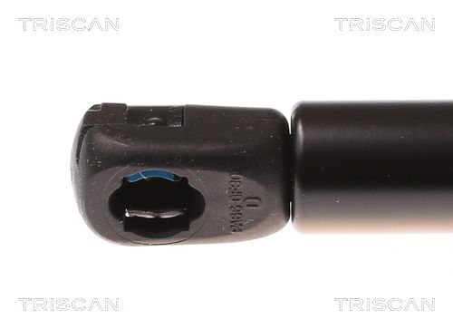 TRISCAN Plinska opruga, poklopac motora