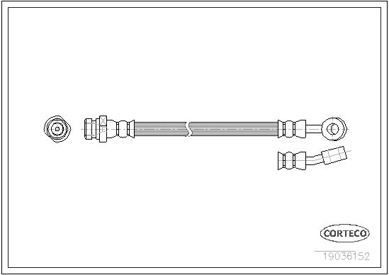 CORTECO Kočno crijevo