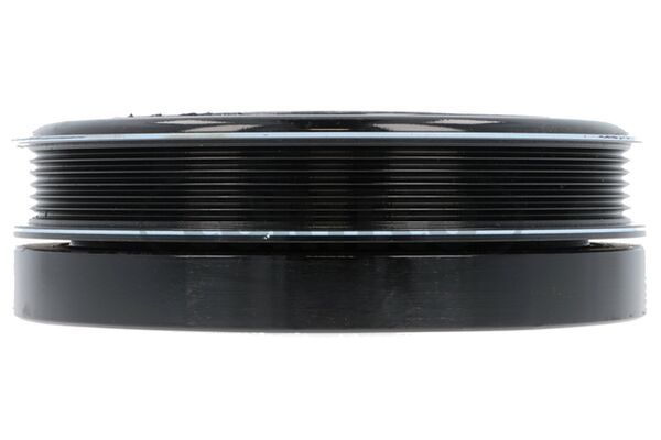 CORTECO Remenica, radilica