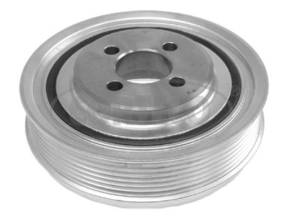 CORTECO Remenica, radilica