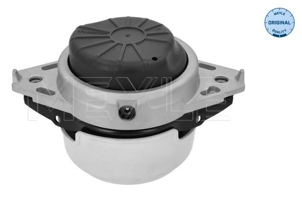 MEYLE Uležištenje, motor