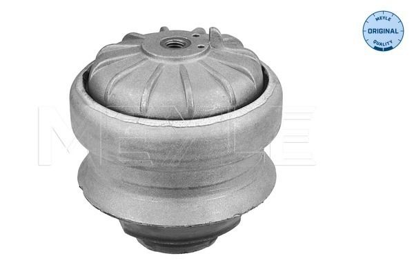 Meyle Uležištenje, motor