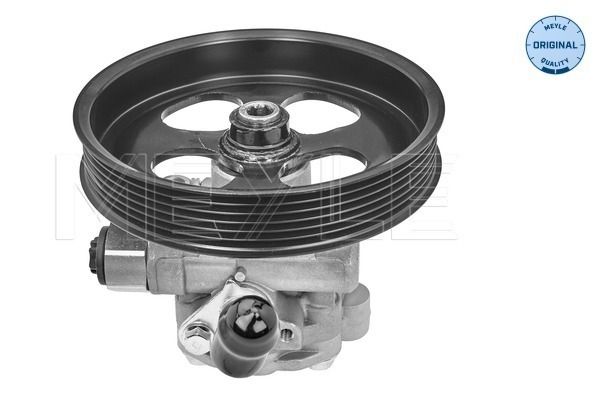 Meyle Hidraulička pumpa, sustav upravljanja