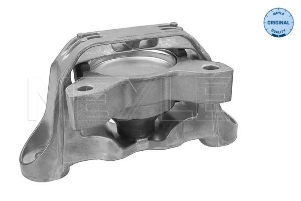 Meyle Uležištenje, motor