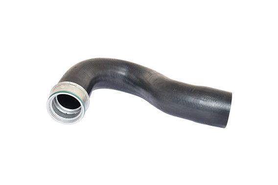 BUGIAD Crijevo turba