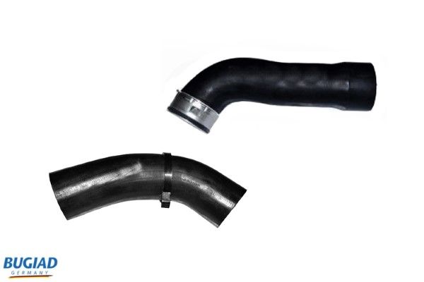 BUGIAD Crijevo turba