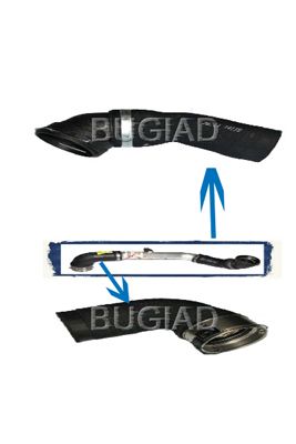 BUGIAD Crijevo turba