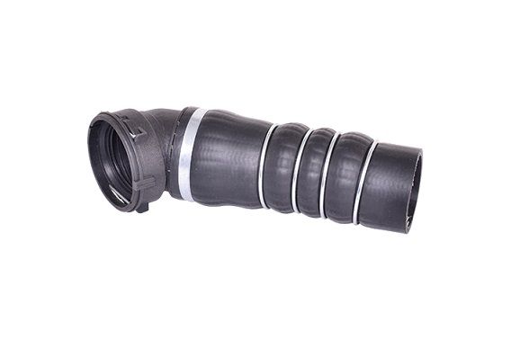 BUGIAD Crijevo turba