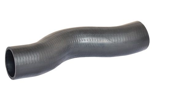 BUGIAD Crijevo turba