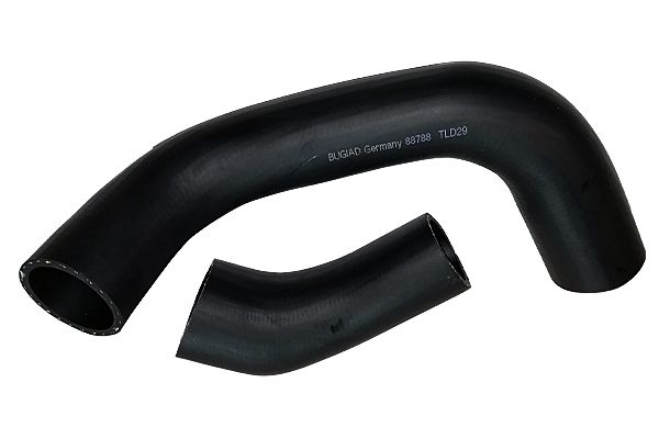 BUGIAD Crijevo turba