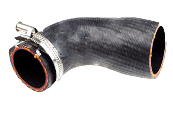 BUGIAD Crijevo turba