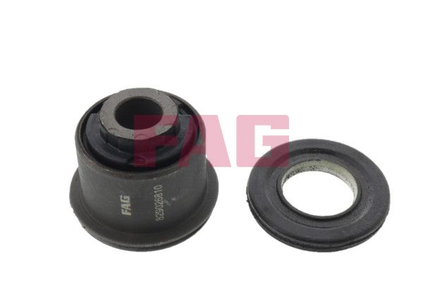 FAG Uležištenje, upravljač