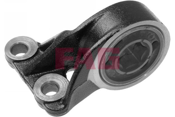 FAG Uležištenje, upravljač