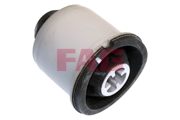 FAG Uležištenje, tijelo osovine