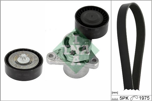 INA Komplet klinastog rebrastog remena