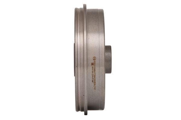 Bosch Bubanj kočnice