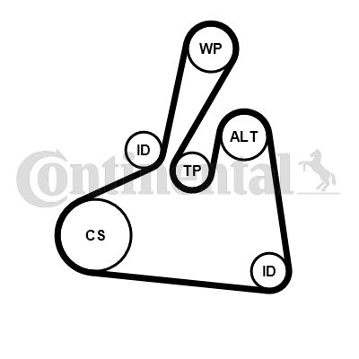 CONTINENTAL CTAM Komplet klinastog rebrastog remena