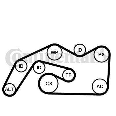 CONTINENTAL CTAM Komplet klinastih orebrenih remena