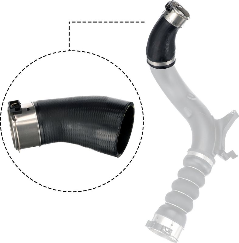 GATES Crijevo hladnjaka