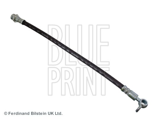 BLUE PRINT Kočiono crijevo