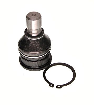 MAXGEAR Nosivi/vodeći zglob