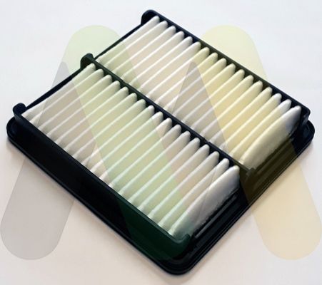 MOTAQUIP Filter za zrak