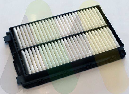 MOTAQUIP Filter za zrak