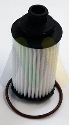 MOTAQUIP Filter za ulje