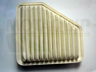 MOTAQUIP Filter za zrak