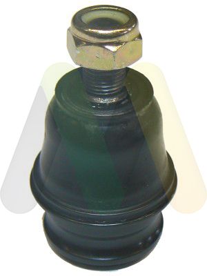 MOTAQUIP Nosivi/vodeći zglob