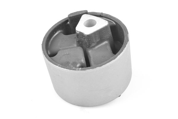 TEDGUM Držač, ovješenje motora