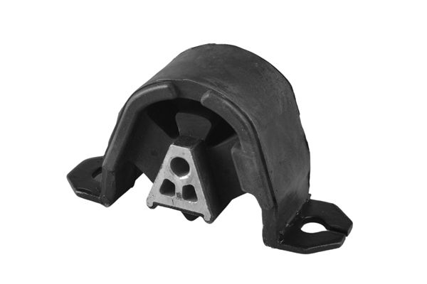 TEDGUM Držač, ovješenje motora