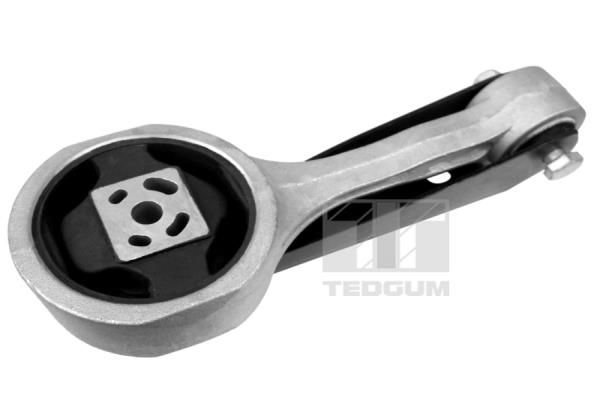 TEDGUM Uležištenje, motor