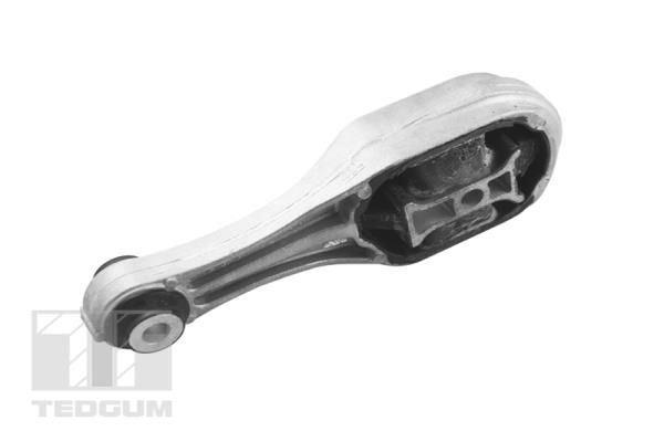 TEDGUM Uležištenje, motor