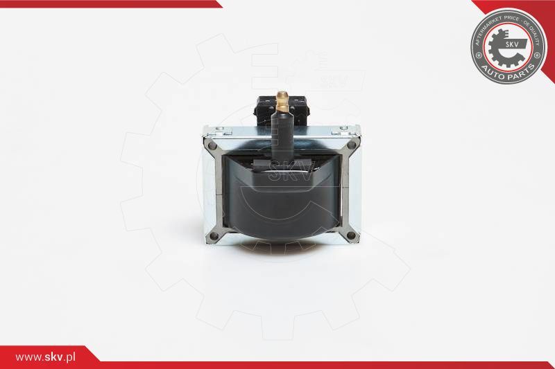 ESEN SKV Svitak za paljenje - bobina