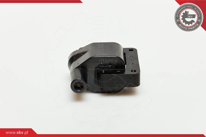 ESEN SKV Svitak za paljenje