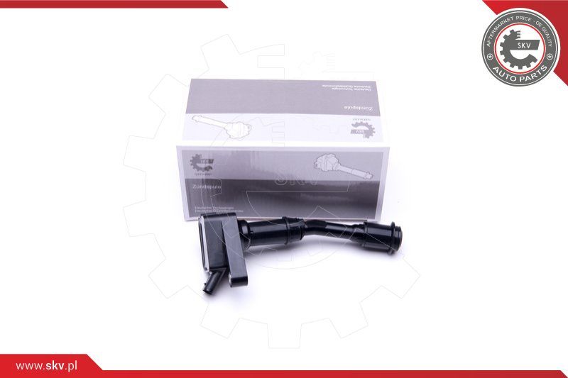 ESEN SKV Svitak za paljenje