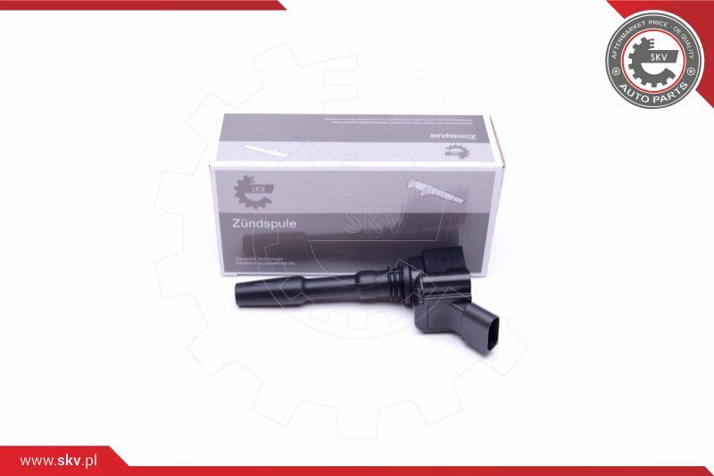 ESEN SKV Svitak za paljenje