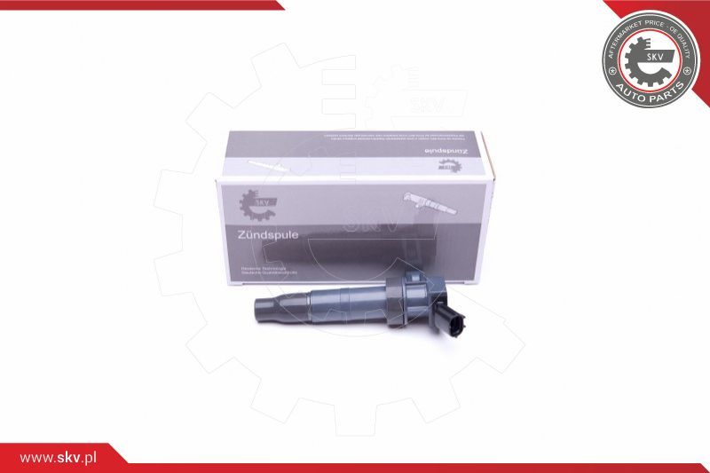 ESEN SKV Svitak za paljenje