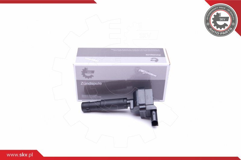 ESEN SKV Svitak za paljenje