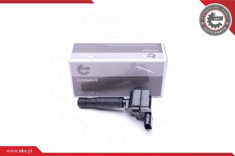 ESEN SKV Svitak za paljenje