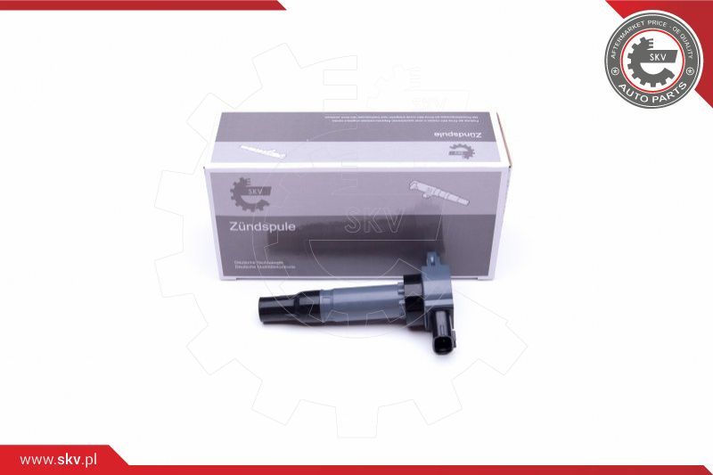 ESEN SKV Svitak za paljenje