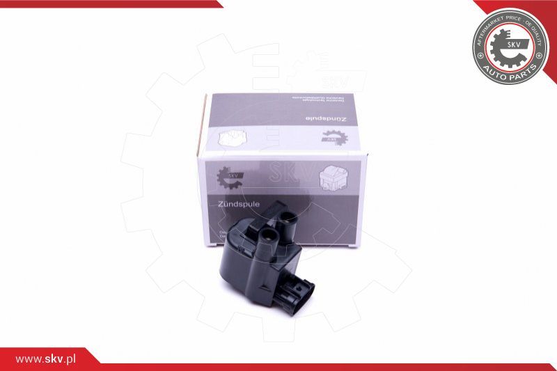 ESEN SKV Svitak za paljenje