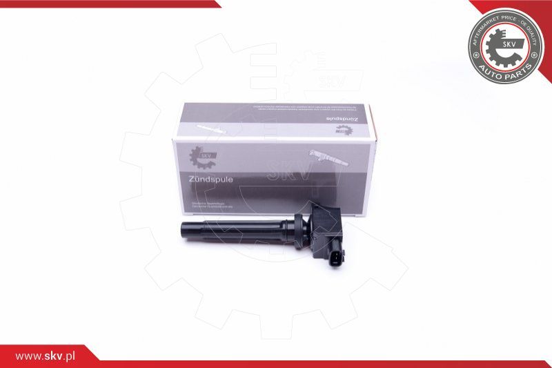 ESEN SKV Svitak za paljenje