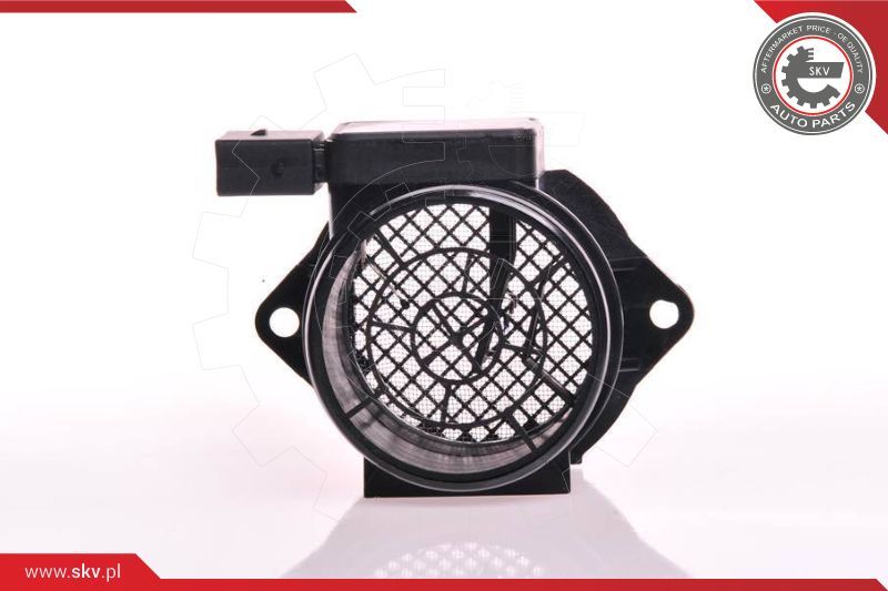 ESEN SKV Mjerač zračne mase