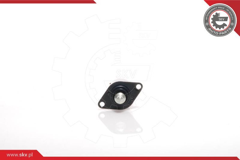 ESEN SKV Ventil za reguliranje praznog hoda, napajanje zrakom