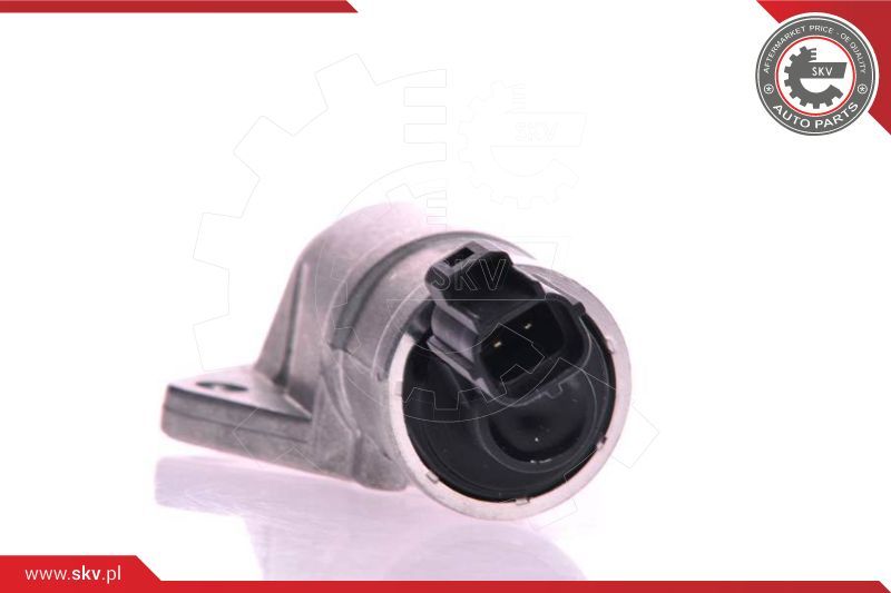 ESEN SKV Ventil za reguliranje praznog hoda, napajanje zrakom